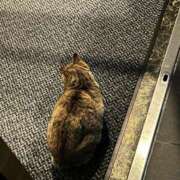 ヒメ日記 2025/03/08 09:11 投稿 萬田 碧 30代40代50代と遊ぶなら博多人妻専科24時