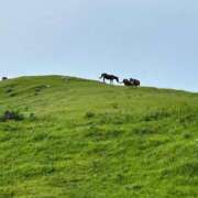 ヒメ日記 2025/09/06 20:43 投稿 萬田 碧 30代40代50代と遊ぶなら博多人妻専科24時