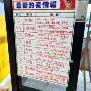 ヒメ日記 2025/10/23 14:40 投稿 萬田 碧 30代40代50代と遊ぶなら博多人妻専科24時