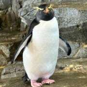 ヒメ日記 2025/11/11 20:14 投稿 萬田 碧 30代40代50代と遊ぶなら博多人妻専科24時