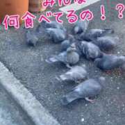 ヒメ日記 2025/01/13 20:24 投稿 ひとみ 上野回春性感マッサージ倶楽部