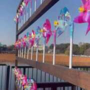 ヒメ日記 2025/03/25 07:14 投稿 ひとみ 上野回春性感マッサージ倶楽部