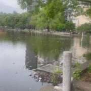 ヒメ日記 2025/04/21 23:04 投稿 ひとみ 上野回春性感マッサージ倶楽部