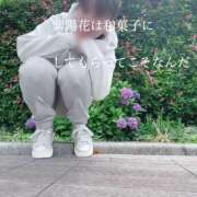 ヒメ日記 2025/06/12 23:14 投稿 ひとみ 上野回春性感マッサージ倶楽部