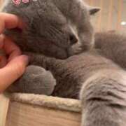 ヒメ日記 2025/11/10 11:34 投稿 ひとみ 上野回春性感マッサージ倶楽部