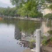 ヒメ日記 2025/11/16 09:04 投稿 ひとみ 上野回春性感マッサージ倶楽部