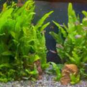 ヒメ日記 2025/11/25 20:24 投稿 ひとみ 上野回春性感マッサージ倶楽部