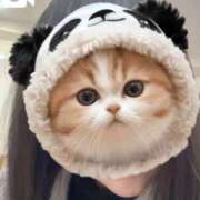 ヒメ日記 2025/12/17 21:54 投稿 ひとみ 上野回春性感マッサージ倶楽部