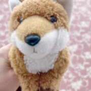 ヒメ日記 2026/03/29 09:24 投稿 ひとみ 上野回春性感マッサージ倶楽部