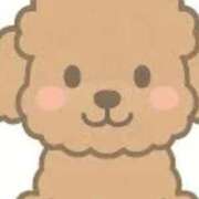 しま 申し訳ありません(T ^ T) タレント倶楽部Around40