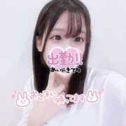 ヒメ日記 2025/04/04 09:02 投稿 つぼみ プロフィール 大阪店