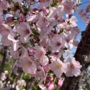 ヒメ日記 2025/04/09 23:57 投稿 聖（せいら） 男爵