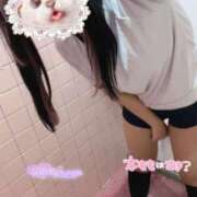 ヒメ日記 2025/06/04 14:05 投稿 ひめの みつらん鉄道