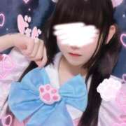 ヒメ日記 2025/08/11 15:32 投稿 ひめの みつらん鉄道