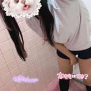 ヒメ日記 2025/09/11 21:44 投稿 ひめの みつらん鉄道