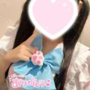 ヒメ日記 2025/10/19 17:44 投稿 ひめの みつらん鉄道