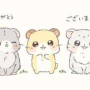 ヒメ日記 2025/10/03 07:23 投稿 ゆみ 北九州人妻倶楽部（三十路、四十路、五十路）