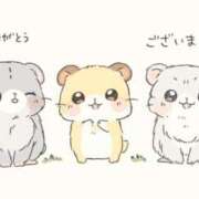 ヒメ日記 2025/11/13 05:58 投稿 ゆみ 北九州人妻倶楽部（三十路、四十路、五十路）