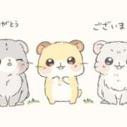 ヒメ日記 2025/11/22 06:26 投稿 ゆみ 北九州人妻倶楽部（三十路、四十路、五十路）