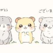 ヒメ日記 2025/12/12 07:41 投稿 ゆみ 北九州人妻倶楽部（三十路、四十路、五十路）