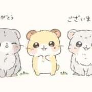 ヒメ日記 2025/12/28 01:51 投稿 ゆみ 北九州人妻倶楽部（三十路、四十路、五十路）