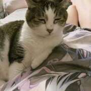 ヒメ日記 2025/09/26 11:57 投稿 はる 池袋千姫