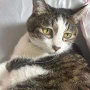 ヒメ日記 2025/10/16 16:57 投稿 はる 池袋千姫