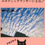 ヒメ日記 2024/11/01 23:00 投稿 るな エロティックマッサージ 新橋