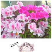 ヒメ日記 2025/04/21 21:01 投稿 るな エロティックマッサージ 新橋