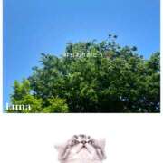 ヒメ日記 2025/04/27 14:10 投稿 るな エロティックマッサージ 新橋