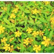 ヒメ日記 2025/06/03 14:05 投稿 るな エロティックマッサージ 新橋