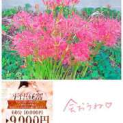 ヒメ日記 2025/09/25 21:50 投稿 るな エロティックマッサージ 新橋