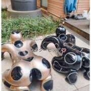 ヒメ日記 2025/11/19 12:20 投稿 るな エロティックマッサージ 新橋