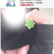 ヒメ日記 2026/03/04 11:35 投稿 るな エロティックマッサージ 新橋