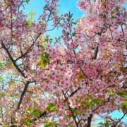 ヒメ日記 2026/03/10 23:41 投稿 るな エロティックマッサージ 新橋