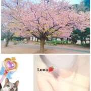 ヒメ日記 2026/03/27 13:50 投稿 るな エロティックマッサージ 新橋