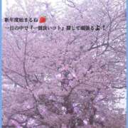 ヒメ日記 2026/04/01 15:26 投稿 るな エロティックマッサージ 新橋