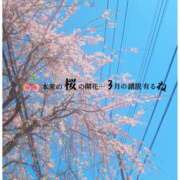 ヒメ日記 2026/04/03 12:55 投稿 るな エロティックマッサージ 新橋