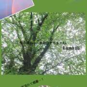 ヒメ日記 2026/04/28 00:55 投稿 るな エロティックマッサージ 新橋