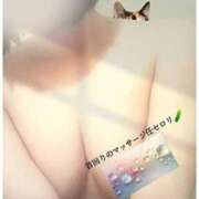 ヒメ日記 2026/09/25 01:00 投稿 るな エロティックマッサージ 新橋