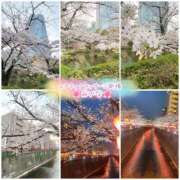 ヒメ日記 2025/03/27 22:52 投稿 みいな エロティックマッサージ 新橋