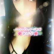 ヒメ日記 2025/05/01 18:05 投稿 みいな エロティックマッサージ 新橋