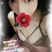 ヒメ日記 2025/06/27 07:03 投稿 みいな エロティックマッサージ 新橋