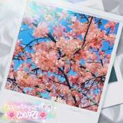 ヒメ日記 2026/03/01 12:24 投稿 みいな エロティックマッサージ 新橋