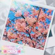 ヒメ日記 2026/03/01 12:26 投稿 みいな エロティックマッサージ 新橋