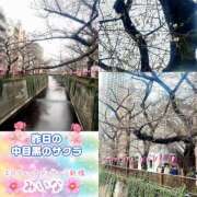 ヒメ日記 2026/03/21 12:27 投稿 みいな エロティックマッサージ 新橋