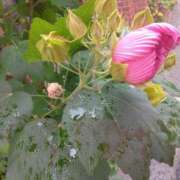 ヒメ日記 2025/10/19 11:55 投稿 そら エロティックマッサージ 新橋