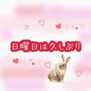 ヒメ日記 2025/04/12 14:04 投稿 あい エロティックマッサージ 錦糸町