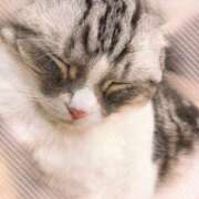 ヒメ日記 2025/08/27 10:24 投稿 あい エロティックマッサージ 錦糸町