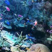 ヒメ日記 2025/09/12 13:00 投稿 あい エロティックマッサージ 錦糸町